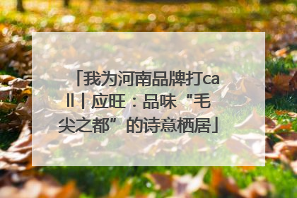 我为河南品牌打call丨应旺：品味“毛尖之都”的诗意栖居