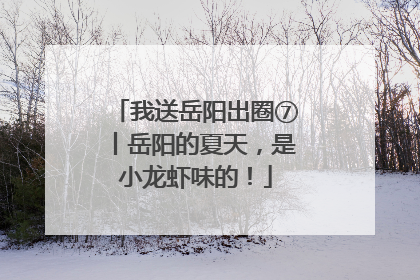 我送岳阳出圈⑦丨岳阳的夏天，是小龙虾味的！