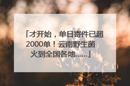 才开始，单日寄件已超2000单！云南野生菌火到全国各地……