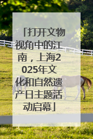 打开文物视角中的江南，上海2025年文化和自然遗产日主题活动启幕