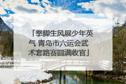 拳脚生风展少年英气 青岛市六运会武术套路赛圆满收官