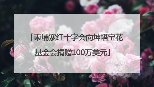 柬埔寨红十字会向坤塔宝花基金会捐赠100万美元