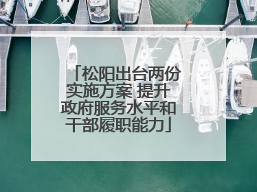 松阳出台两份实施方案 提升政府服务水平和干部履职能力