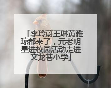 李玲蔚王琳黄雅琼都来了，元老明星进校园活动走进文龙巷小学