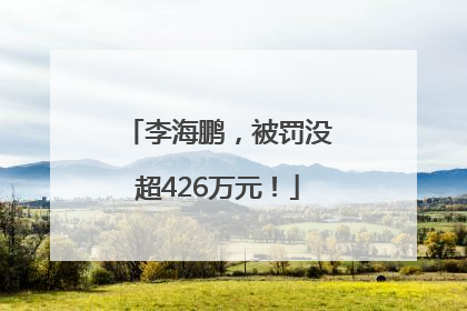 李海鹏，被罚没超426万元！