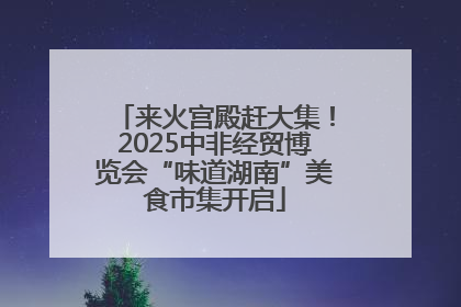来火宫殿赶大集！2025中非经贸博览会“味道湖南”美食市集开启