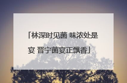 林深时见菌 味浓处是宴 晋宁菌宴正飘香