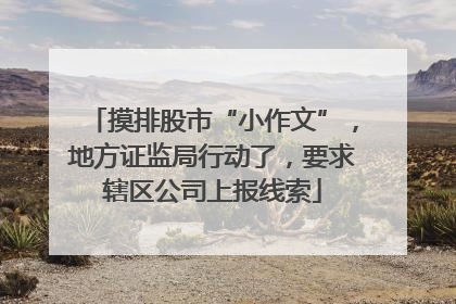 摸排股市“小作文”，地方证监局行动了，要求辖区公司上报线索