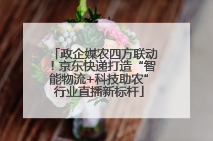 政企媒农四方联动！京东快递打造“智能物流+科技助农”行业直播新标杆