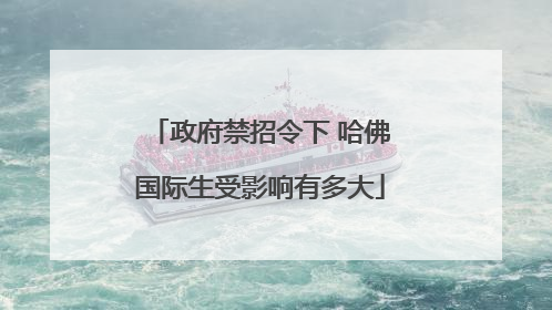 政府禁招令下 哈佛国际生受影响有多大