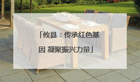 攸县：传承红色基因 凝聚振兴力量