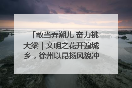 敢当弄潮儿 奋力挑大梁｜文明之花开遍城乡，徐州以昂扬风貌冲刺“万亿之城”