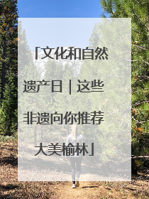文化和自然遗产日｜这些非遗向你推荐大美榆林