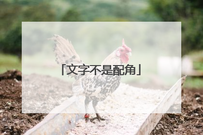 文字不是配角
