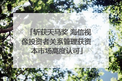 斩获天马奖 海信视像投资者关系管理获资本市场高度认可