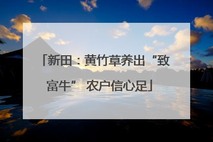 新田：黄竹草养出“致富牛” 农户信心足