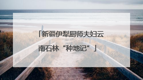 新疆伊犁厨师夫妇云南石林“种地记”