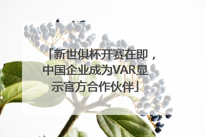 新世俱杯开赛在即，中国企业成为VAR显示官方合作伙伴