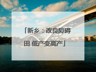 新乡：改良障碍田 低产变高产