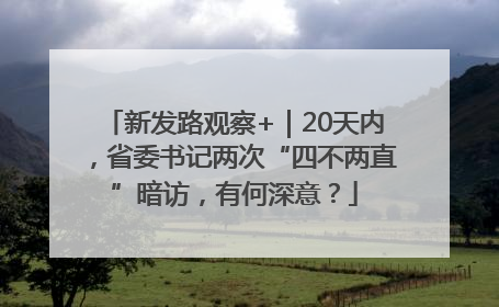 新发路观察+｜20天内，省委书记两次“四不两直”暗访，有何深意？
