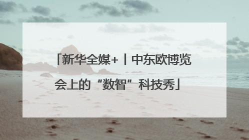 新华全媒+丨中东欧博览会上的“数智”科技秀