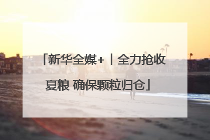 新华全媒+丨全力抢收夏粮 确保颗粒归仓