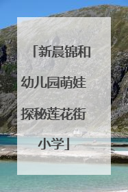 新晨锦和幼儿园萌娃探秘莲花街小学
