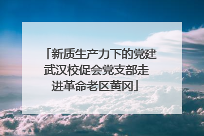新质生产力下的党建 武汉校促会党支部走进革命老区黄冈