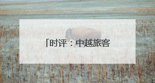 时评：中越旅客列车重启，跨越山海共赴未来