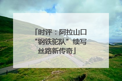 时评：阿拉山口“钢铁驼队”续写丝路新传奇