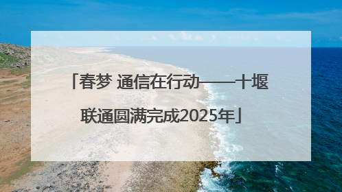春梦 通信在行动——十堰联通圆满完成2025年