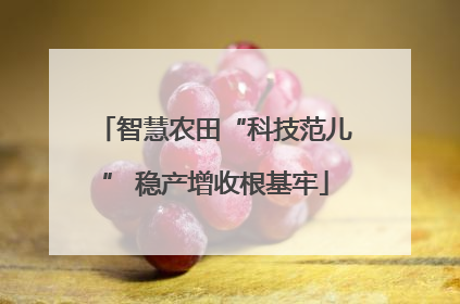 智慧农田“科技范儿” 稳产增收根基牢