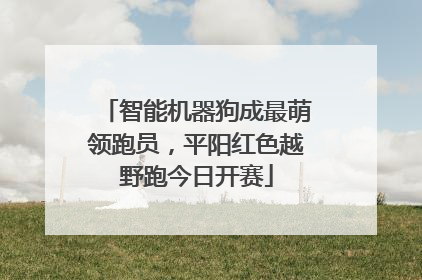 智能机器狗成最萌领跑员，平阳红色越野跑今日开赛