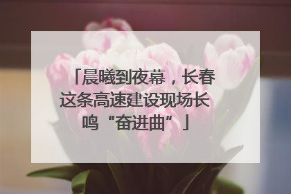 晨曦到夜幕，长春这条高速建设现场长鸣“奋进曲”