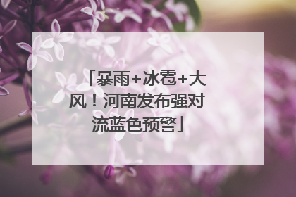暴雨+冰雹+大风！河南发布强对流蓝色预警