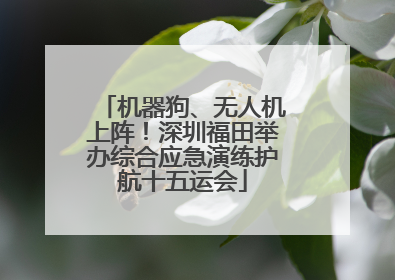 机器狗、无人机上阵！深圳福田举办综合应急演练护航十五运会