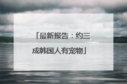 最新报告：约三成韩国人有宠物