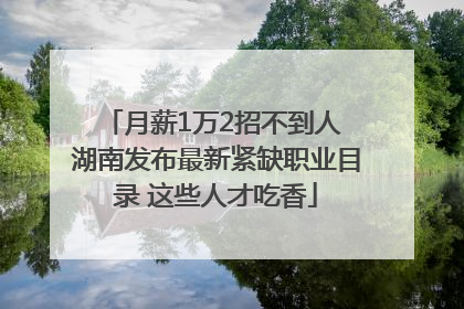 月薪1万2招不到人 湖南发布最新紧缺职业目录 这些人才吃香