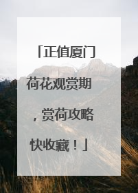 正值厦门荷花观赏期，赏荷攻略快收藏！