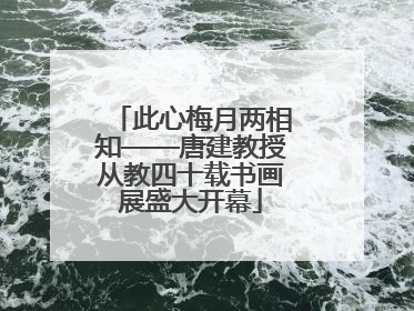 此心梅月两相知——唐建教授从教四十载书画展盛大开幕
