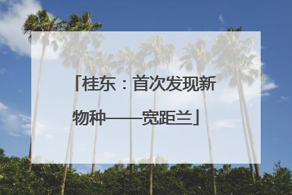 桂东：首次发现新物种——宽距兰
