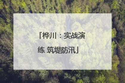 桦川：实战演练 筑堤防汛