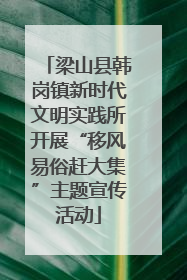梁山县韩岗镇新时代文明实践所开展“移风易俗赶大集”主题宣传活动