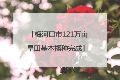 梅河口市121万亩旱田基本播种完成