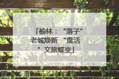 榆林：“落子”老城焕新 “盘活”文旅蝶变
