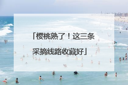 樱桃熟了！这三条采摘线路收藏好