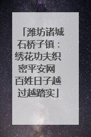 潍坊诸城石桥子镇：绣花功夫织密平安网 百姓日子越过越踏实