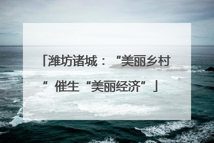 潍坊诸城：“美丽乡村”催生“美丽经济”