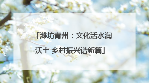 潍坊青州：文化活水润沃土 乡村振兴谱新篇