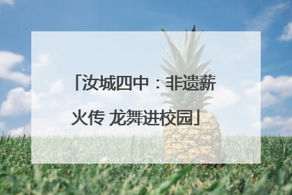 汝城四中：非遗薪火传 龙舞进校园